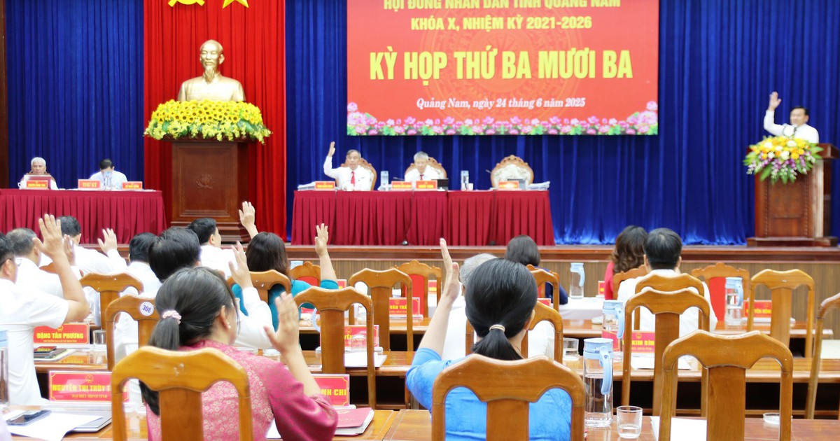 Chủ tịch UBND tỉnh Quảng Nam và 6 người khác thôi làm đại biểu HĐND tỉnh