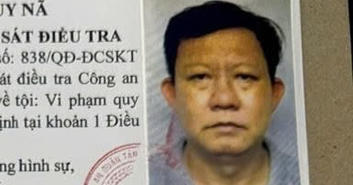 Giao tê tê quý hiếm đến nhà hàng ở TP.HCM, Trần Minh Thạch bị truy nã