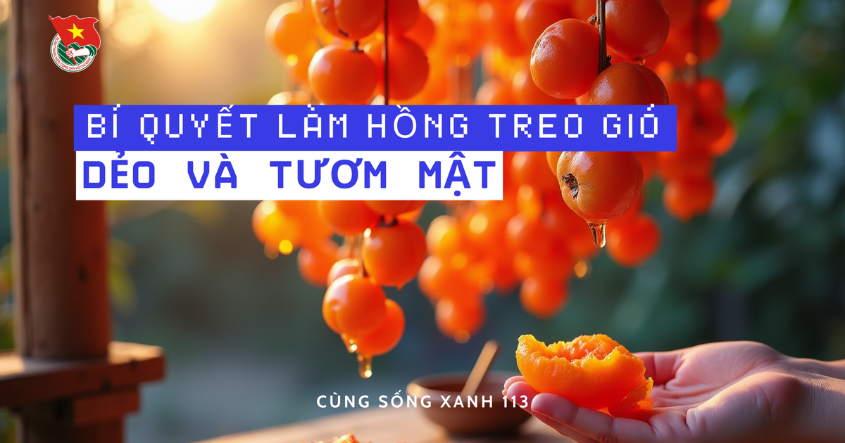 Cùng sống xanh số 113: Bí quyết làm hồng treo gió dẻo và tươm mật