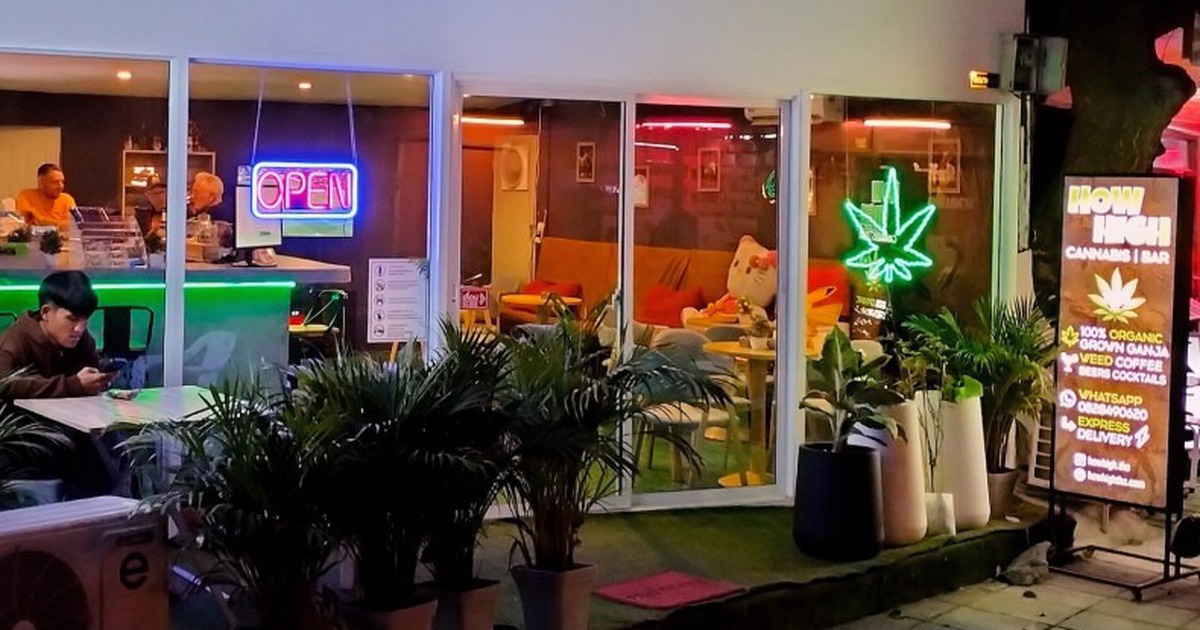 Sau ba năm cho hút cần sa thoải mái, Thái Lan 'quay xe' chuẩn bị cấm