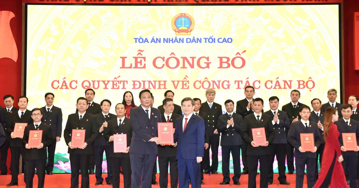 Chánh án TAND tối cao bổ nhiệm 26 chánh án và 3 chánh tòa phúc thẩm mới