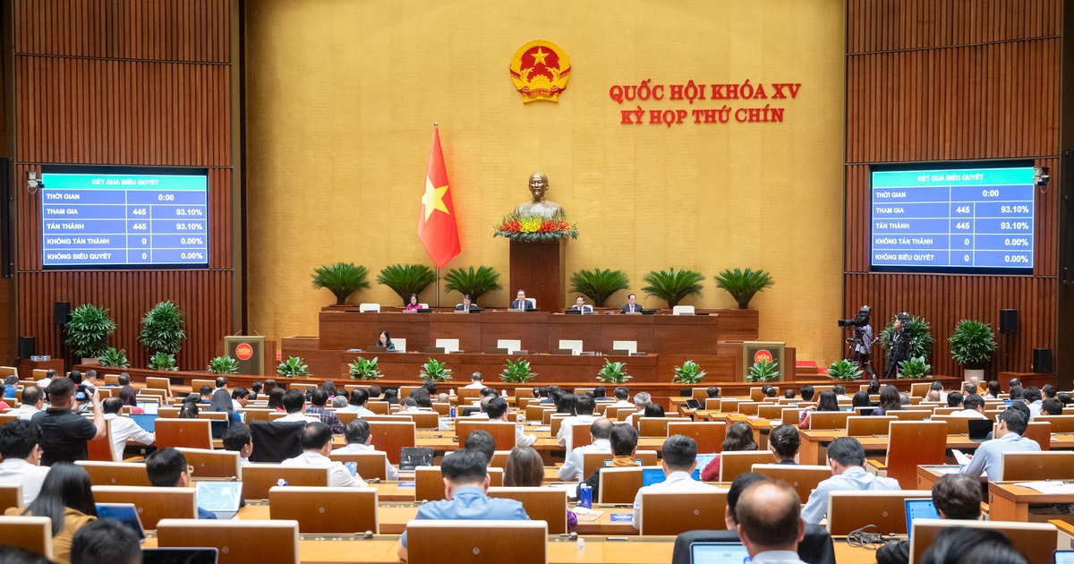 Cán bộ, công chức có thể tham gia gìn giữ hòa bình Liên Hiệp Quốc
