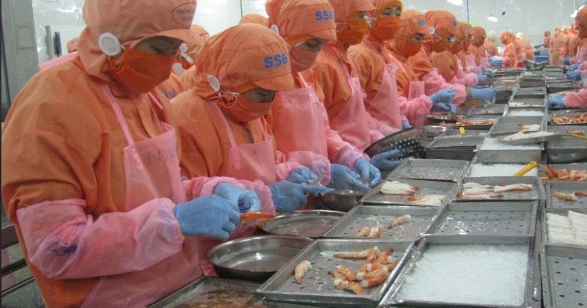Mất 10.000 USD xin chứng nhận, thủy sản Việt 'lép vế' tại thị trường Halal