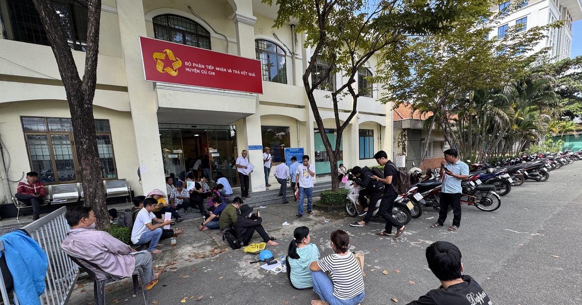thanhnien.vn