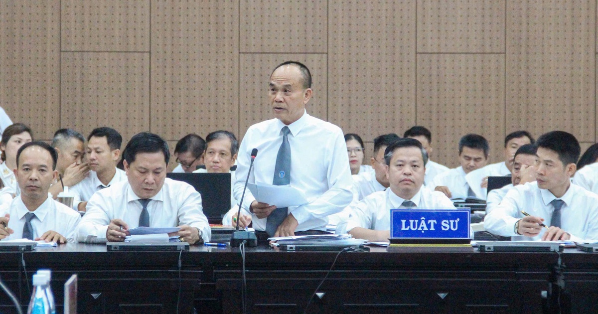 Luật sư nói mức án đề nghị với Chủ tịch Tập đoàn Phúc Sơn là 'quá nặng'