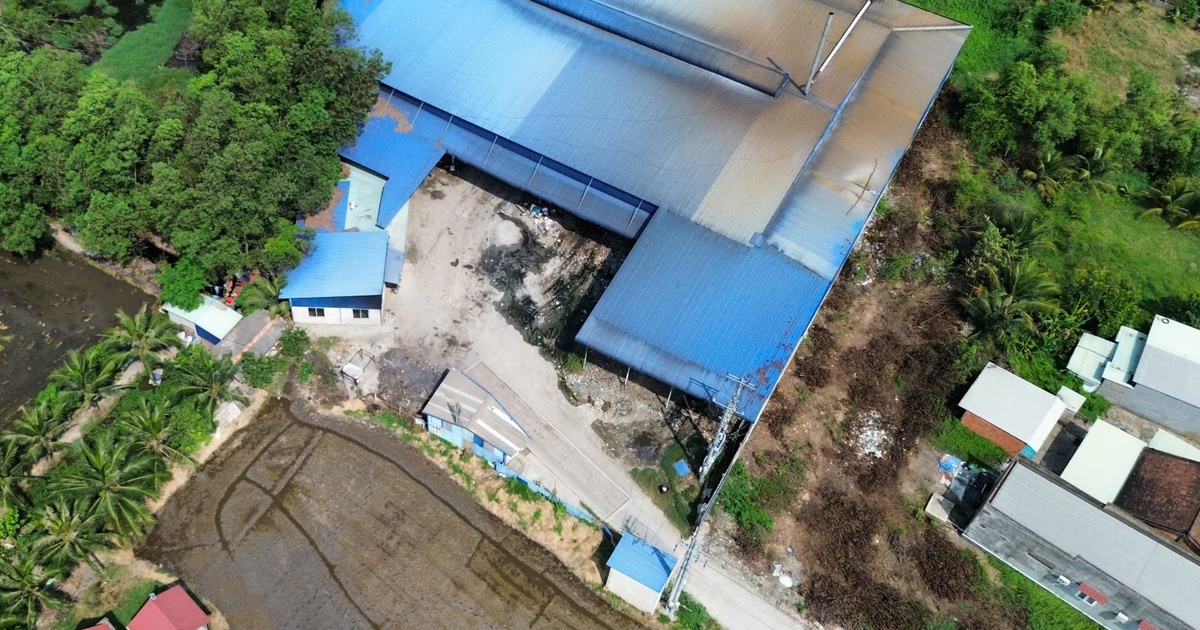 Long An: Sản xuất trong nhà xưởng trái phép, gây ô nhiễm khu dân cư