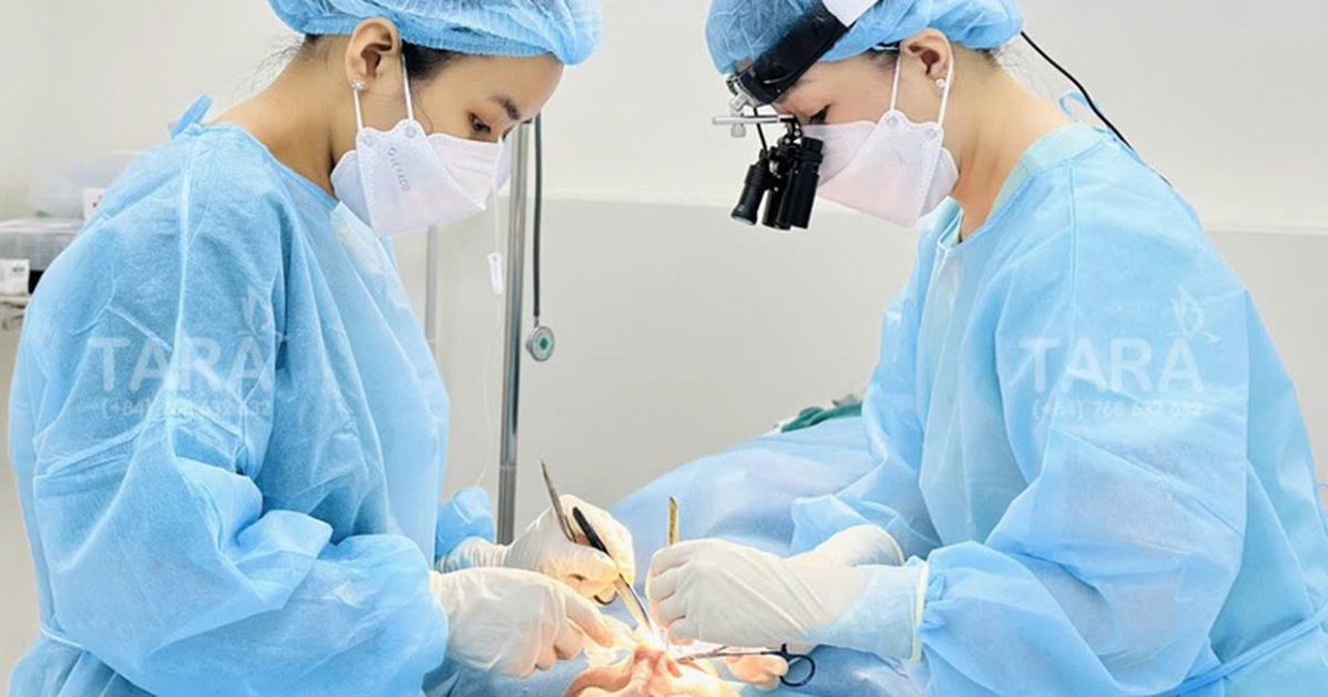 Vi phẫu, siêu vi phẫu và ứng dụng nâng mũi siêu vi phẫu