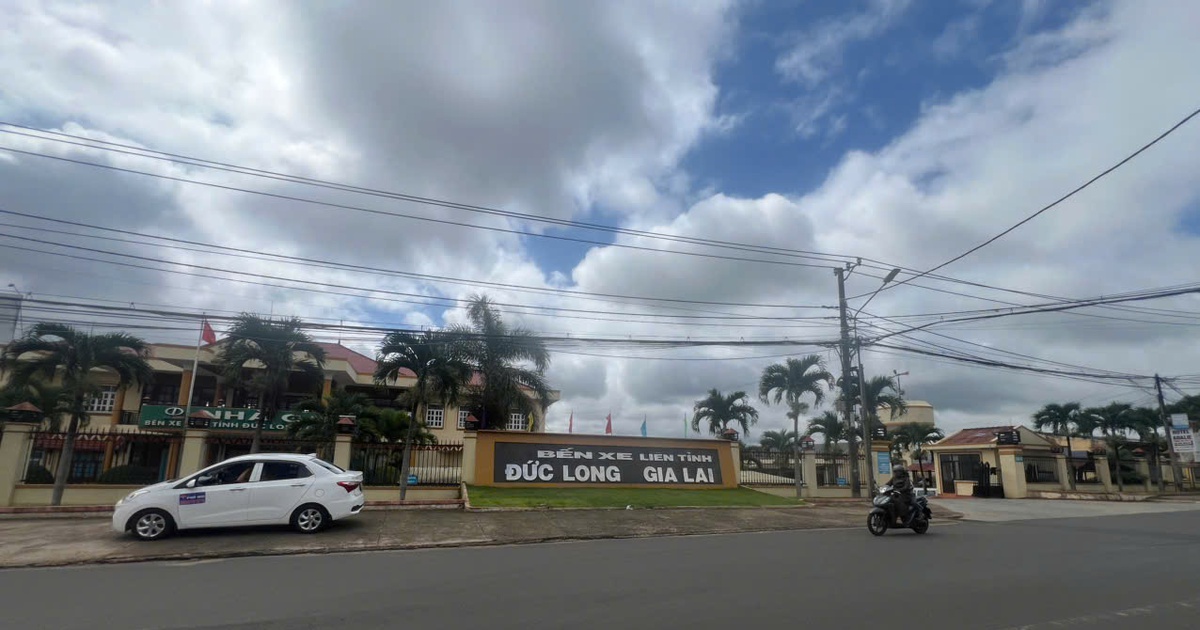 Hỗ trợ người lao động từ Gia Lai về Quy Nhơn làm việc
