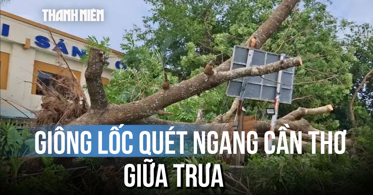 Gạch 'bật tung', cây bật gốc khi giông lốc quét ngang Cần Thơ