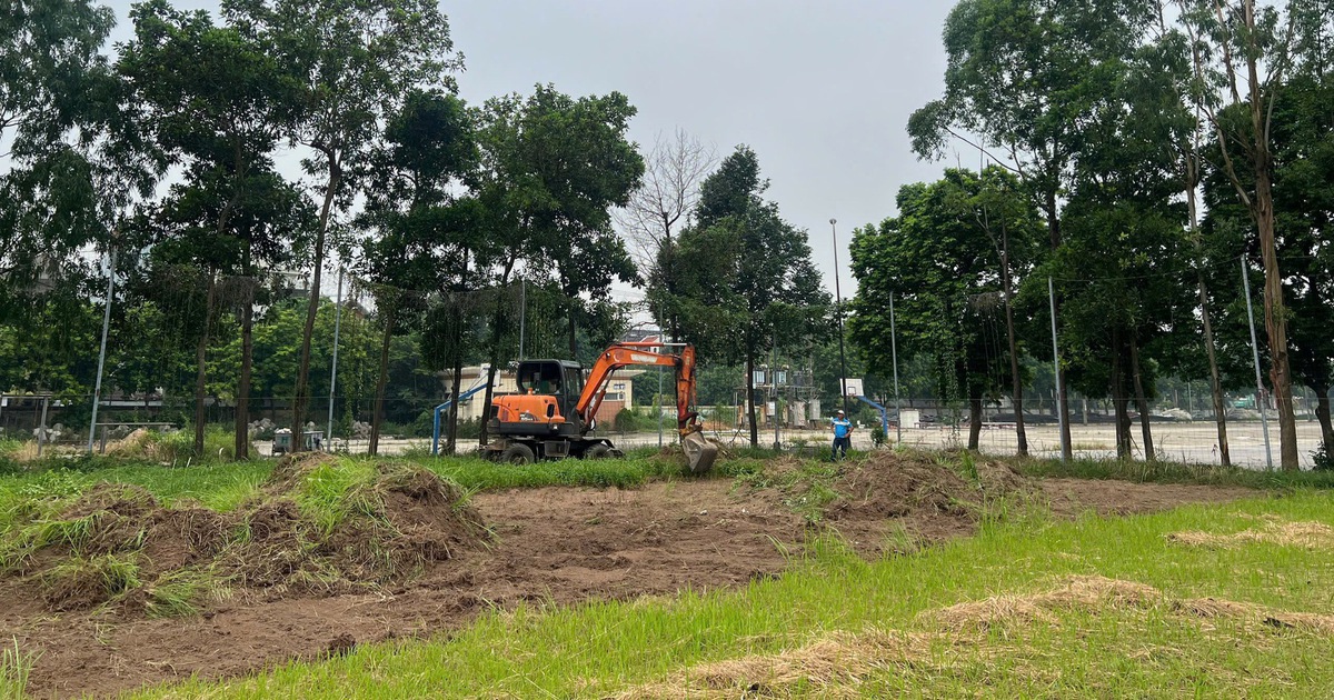 HLV Tây Ban Nha và Ninh Bình FC sắp được ‘tung hoành’ trên mặt sân cực đẹp