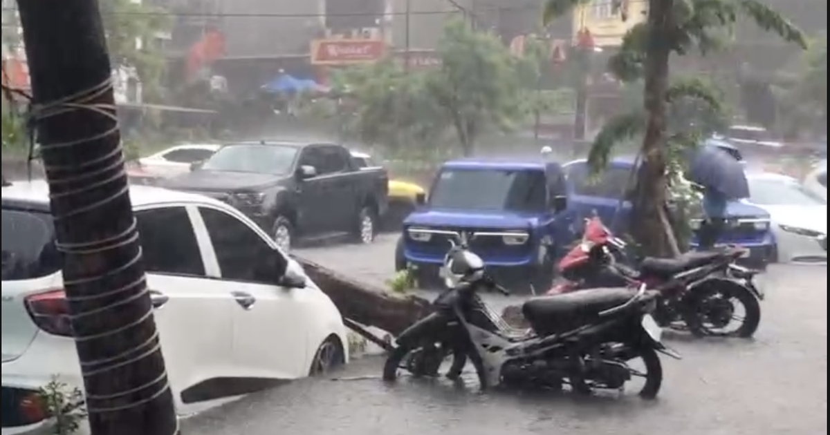 Dân cuống cuồng di chuyển xe ra khỏi hầm chung cư bị ngập sâu