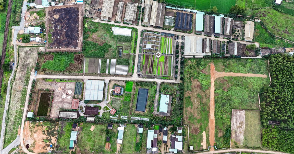 Thu hồi dự án rau an toàn biến tướng