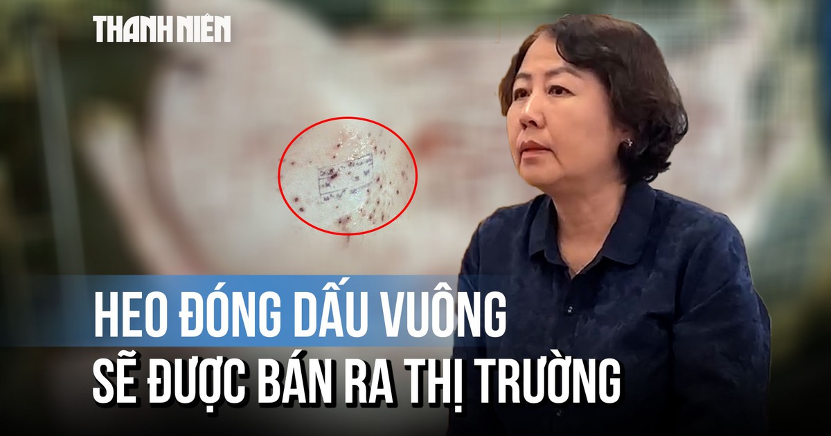 Cục Chăn nuôi - Thú y: Dấu vuông đóng trên thân heo của C.P là sai