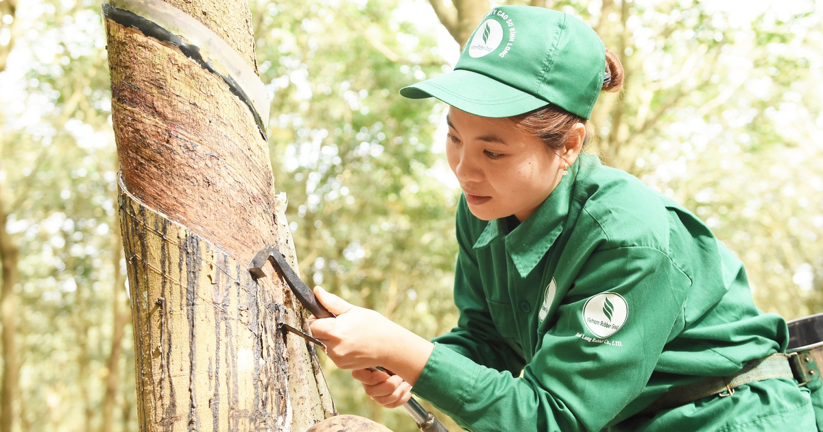 VRG tăng tốc phát triển, tối ưu nguồn lực