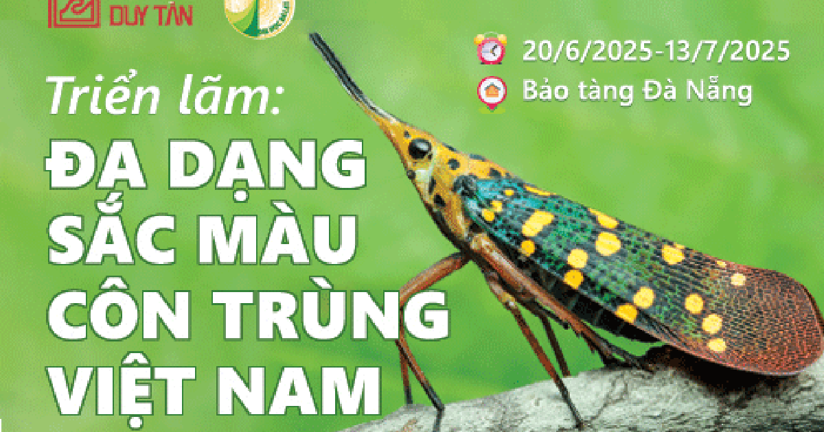 Triển lãm Đa dạng côn trùng Việt Nam do ĐH Duy Tân, Trường ĐH Đà Lạt đồng tổ chức