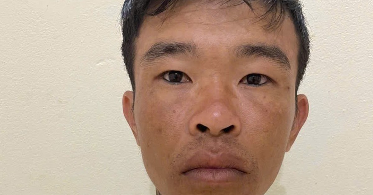 Bắt giữ nghi phạm trộm cắp, tấn công công an ở Gia Lai