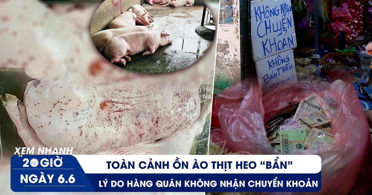 Xem nhanh 20h ngày 6.6: Toàn cảnh ồn ào thịt heo 'bẩn' | Lý do hàng quán không nhận chuyển khoản