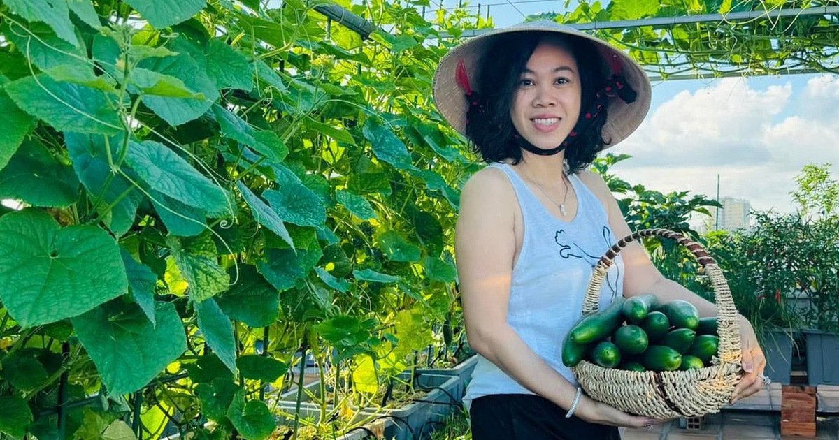 Gia đình doanh nhân 5 năm ăn rau sạch nhờ vườn trên sân thượng