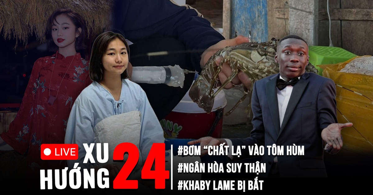 Xu Hướng 24: Loạt bất thường mùa cao điểm chống hàng giả | Cận cảnh bơm tạp chất vào tôm hùm chết Xu Hướng 24: Loạt bất thường mùa cao điểm chống hàng giả | Cận cảnh bơm tạp chất vào tôm hùm chết