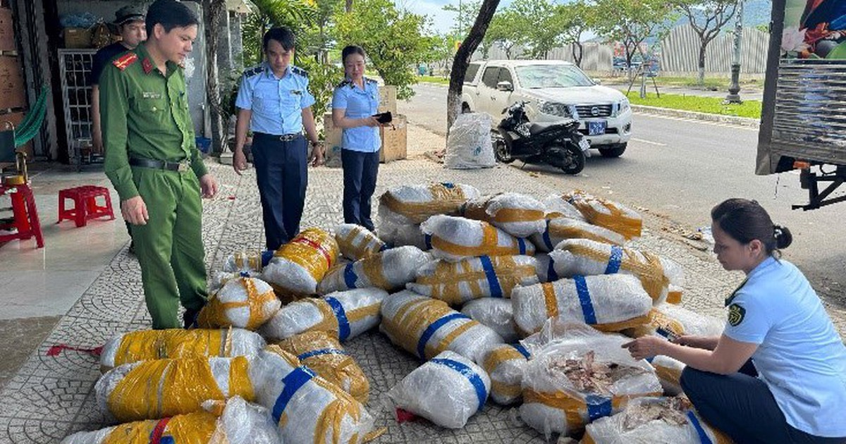 Đà Nẵng: Tạm giữ 700 kg mực khô bốc mùi, vô chủ tại âu thuyền Thọ Quang