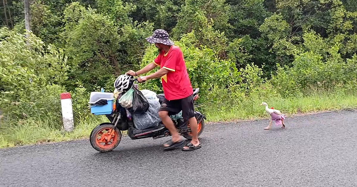 Người đ&agrave;n &ocirc;ng đi bộ xuy&ecirc;n Việt c&ugrave;ng ch&uacute; ngỗng: &#039;N&oacute; l&agrave; bạn t&ocirc;i, kh&ocirc;ng phải để b&aacute;n&#039;