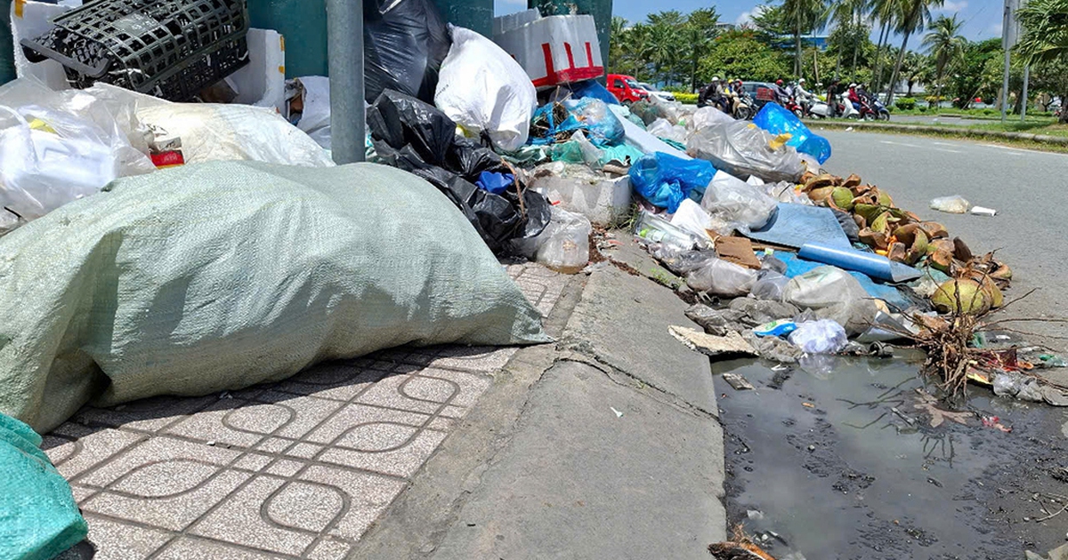 Rác nhếch nhác trên đường