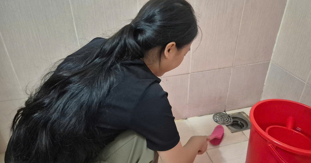 Người trẻ cần làm gì để phòng chống sốt xuất huyết ?