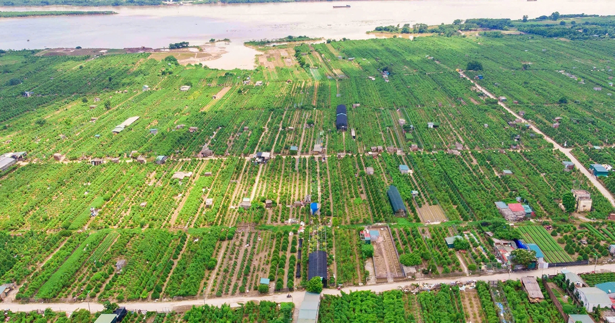 Hà Nội cho phép khai thác đất bãi sông làm nông nghiệp kết hợp du lịch