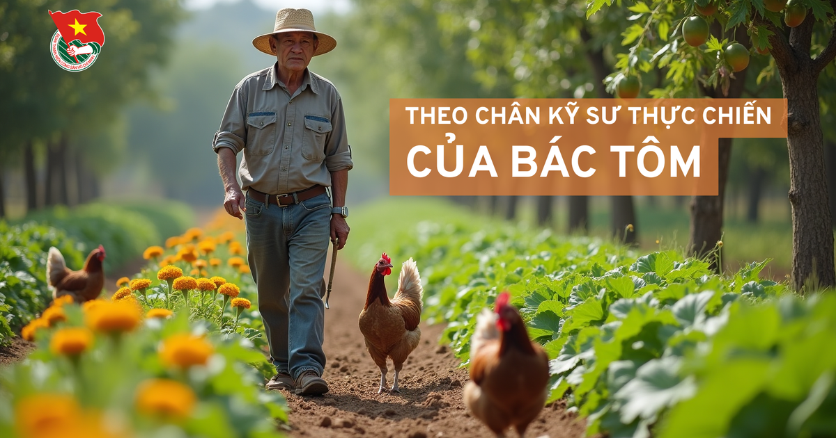 Cùng sống xanh số 115: Kỹ sư thực chiến U70 và những giải pháp thuận tự nhiên trên nông trại