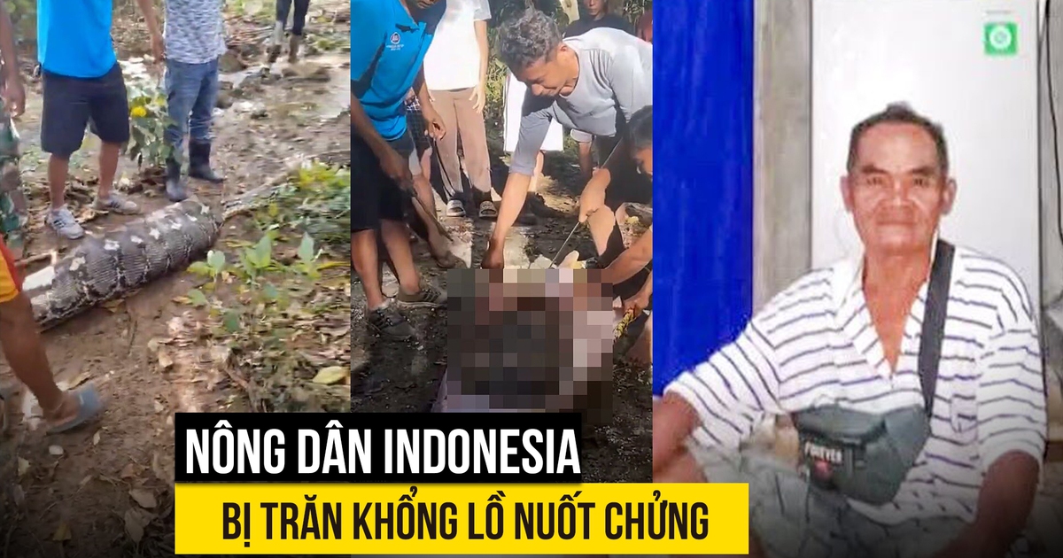 Trăn khổng lồ nuốt chửng nông dân Indonesia