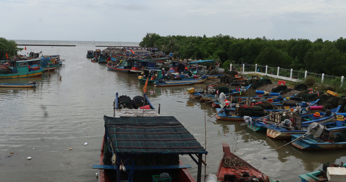 Cà Mau: Nạn nhân 17 tuổi bị dây lú cuốn, kéo chìm xuống biển tử vong Cà Mau: Nạn nhân 17 tuổi bị dây lú cuốn, kéo chìm xuống biển tử vong