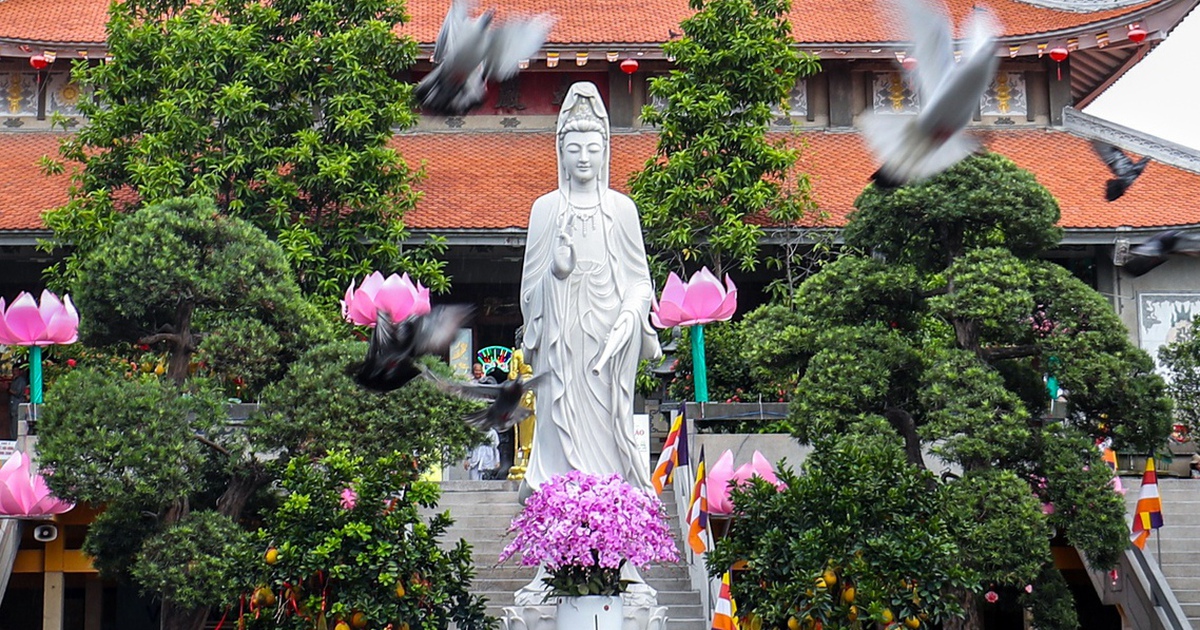 Ng&agrave;y v&iacute;a Bồ t&aacute;t Qu&aacute;n Thế &Acirc;m th&agrave;nh đạo 19.6 &acirc;m lịch: Từ bi hỷ xả l&agrave; g&igrave;?