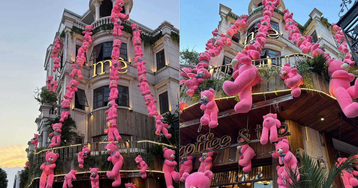 Gấu b&ocirc;ng &#039;phủ hồng&#039; qu&aacute;n c&agrave; ph&ecirc; g&acirc;y b&atilde;o mạng ở TP.HCM: Kh&aacute;ch th&iacute;ch th&uacute; check-in