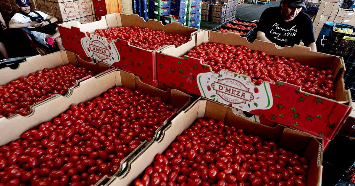 Mỹ gi&aacute;ng đ&ograve;n mới l&ecirc;n Mexico, EU chuẩn bị đ&aacute;p trả