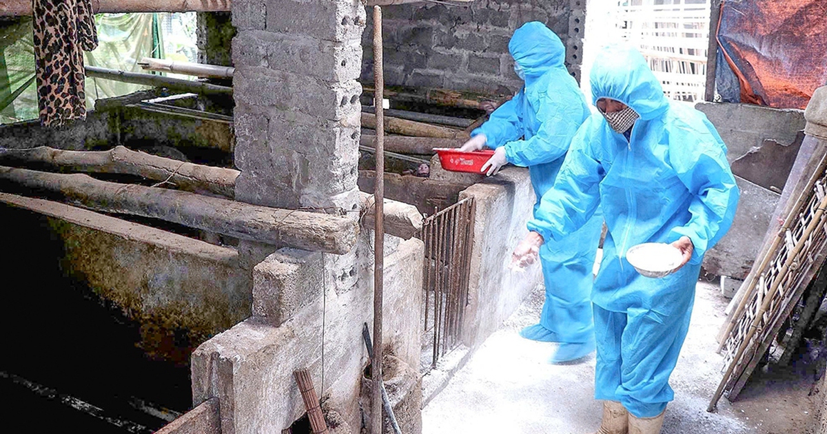 Tin tức đặc biệt tr&ecirc;n b&aacute;o in Thanh Ni&ecirc;n 18.7.2025