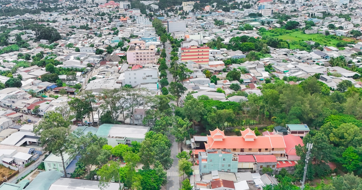 Hơn 800 c&acirc;y cổ thụ tr&ecirc;n 100 tuổi giữa đ&ocirc; thị xanh Vĩnh Long