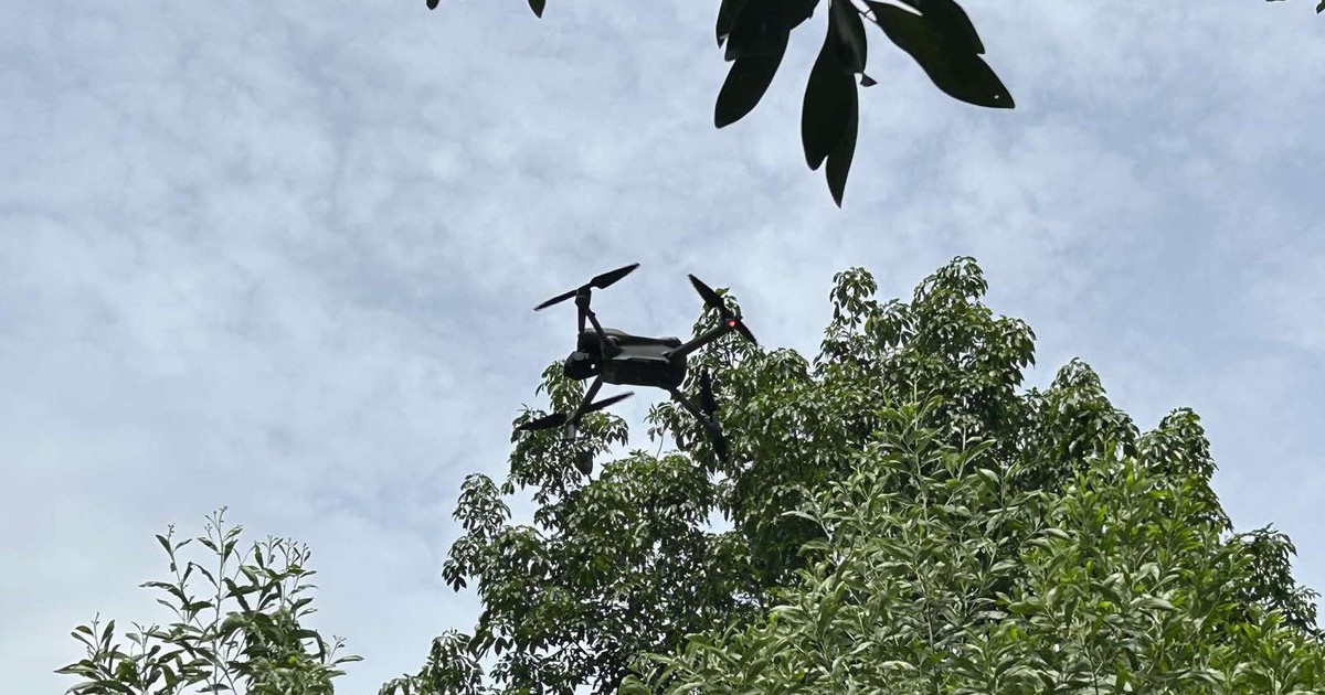 Khi drone tuần th&aacute;m rừng