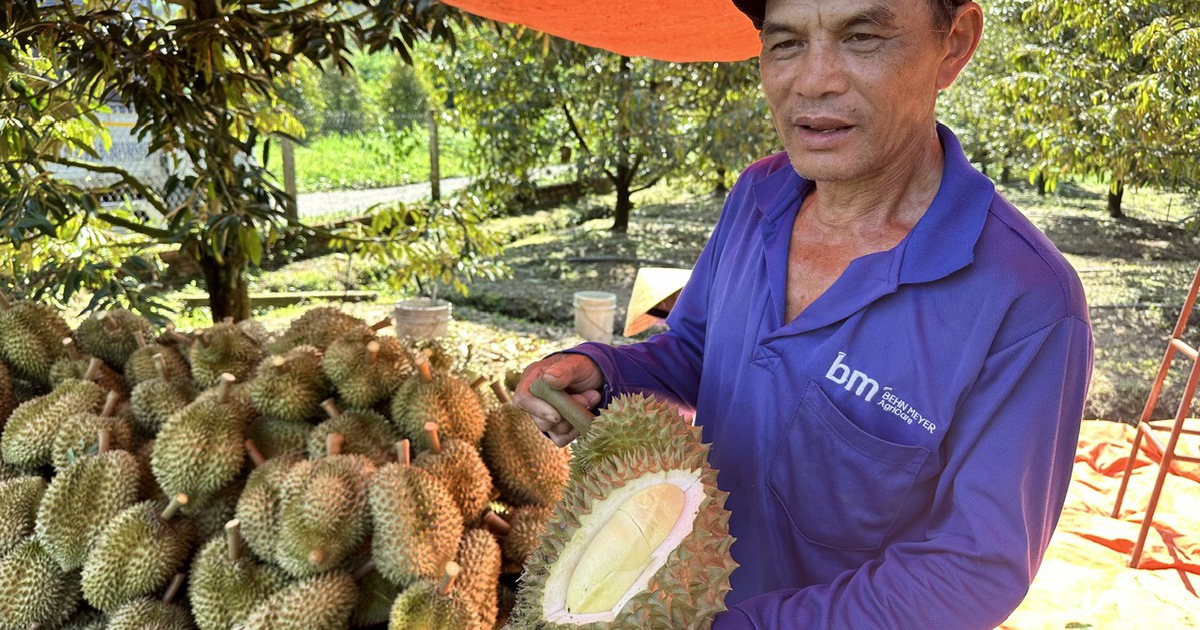 Xuất khẩu rau quả tăng mạnh tháng thứ 2 liên tiếp