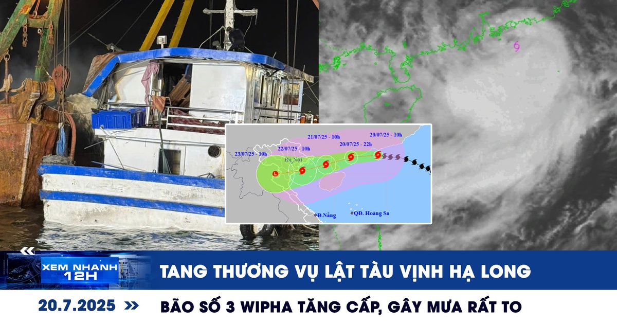 Xem nhanh 12h: Tang thương vụ lật tàu vịnh Hạ Long | Bão số 3 Wipha tăng cấp, gây mưa rất to Xem nhanh 12h: Tang thương vụ lật tàu vịnh Hạ Long | Bão số 3 Wipha tăng cấp, gây mưa rất to