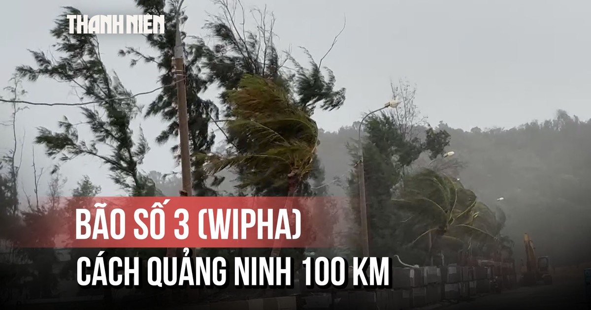 Bão số 3 (Wipha) cách Quảng Ninh 100 km, có khả năng mạnh thêm