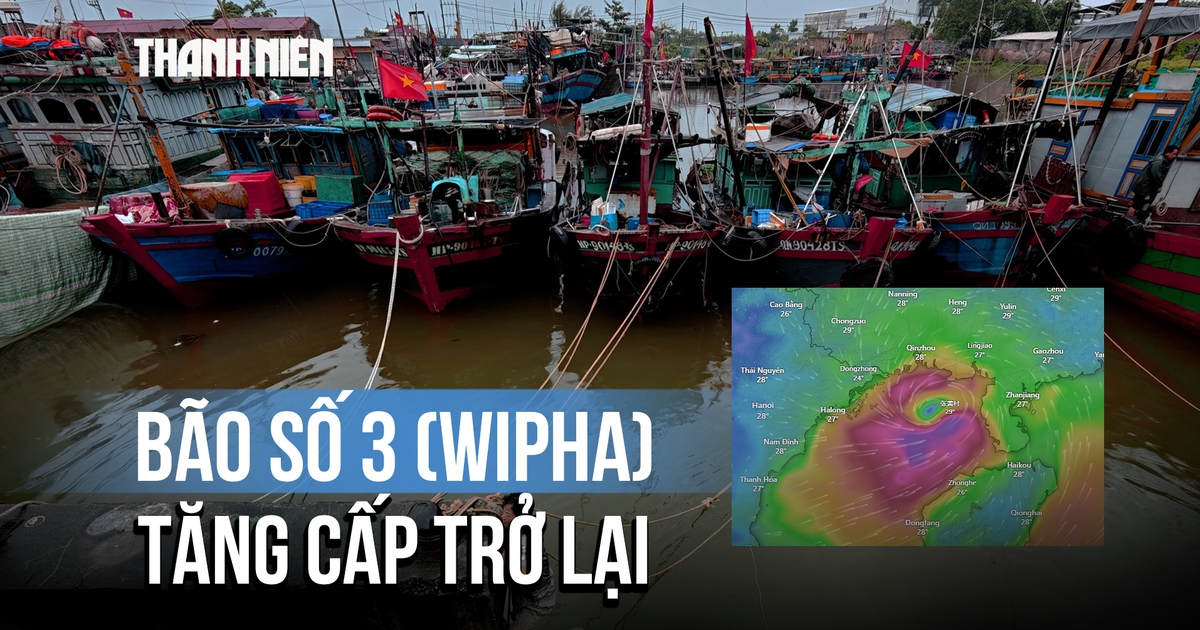 Bão số 3 (Wipha) suy yếu khi đổ bộ Trung Quốc, mạnh trở lại khi vào vịnh Bắc bộ