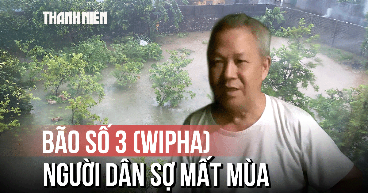 Bão số 3 (Wipha) khiến Thanh Hóa ngập sâu, người dân sợ mất mùa