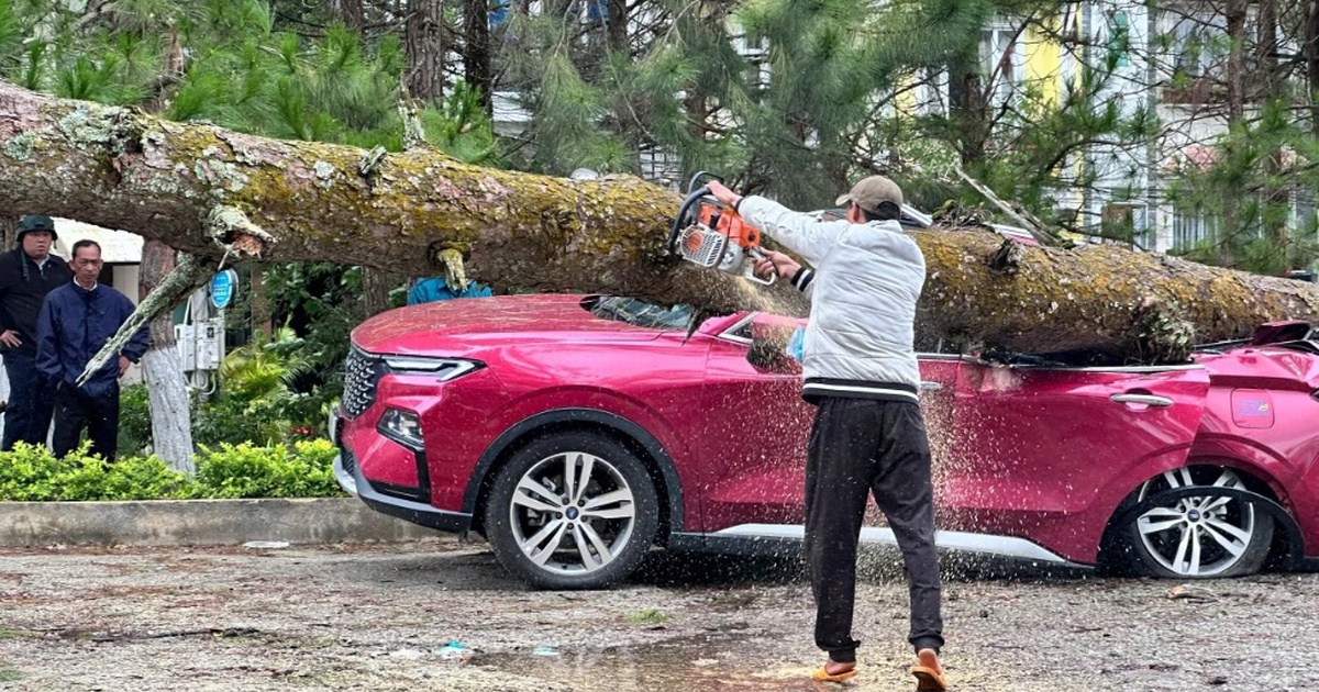 Làm gì để bảo vệ ô tô trong mùa mưa bão?