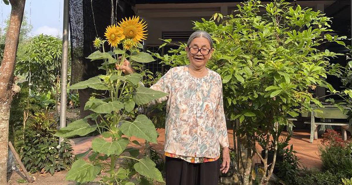 Tiền điện nh&agrave; t&ocirc;i giảm xuống mỗi th&aacute;ng nhờ những b&iacute; quyết rất đơn giản