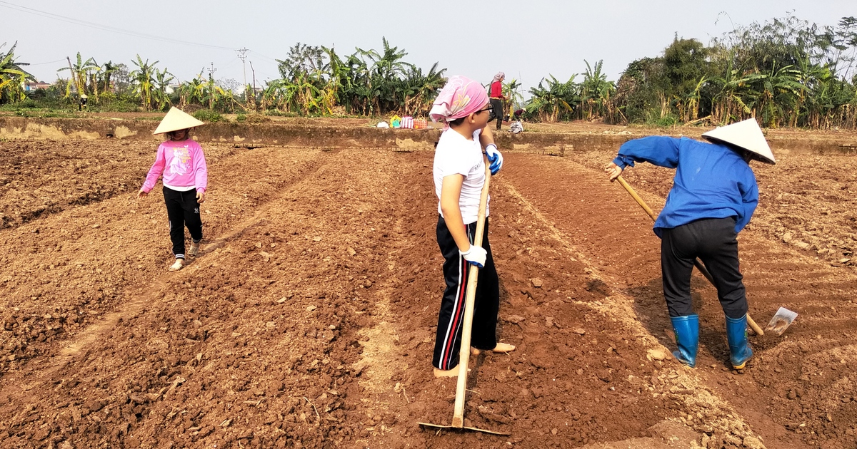Khi mẹ chồng t&ocirc;i l&agrave; tấm gương tiết kiệm điện
