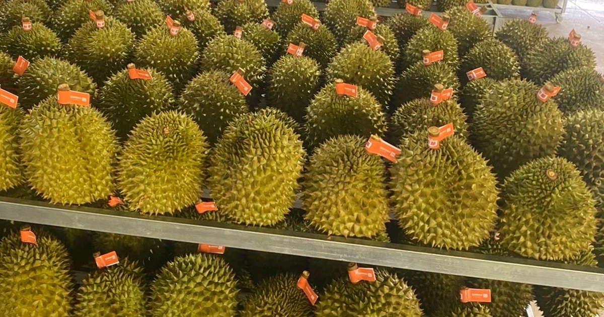 Xuất khẩu sầu riêng đông lạnh tăng 3 lần