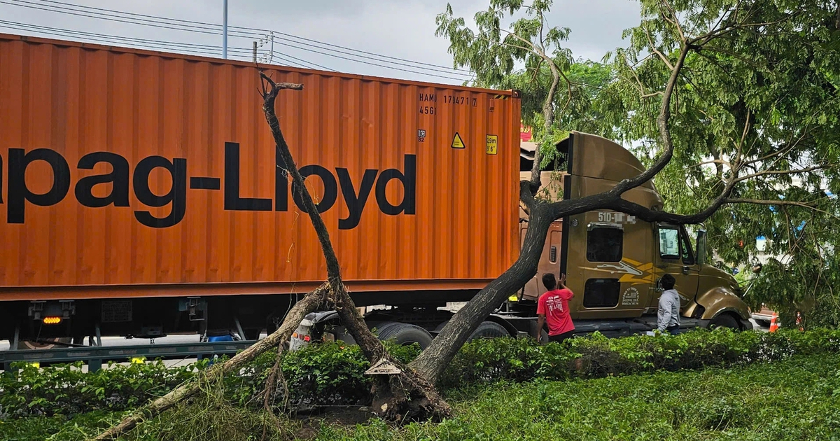 Xe container va ngã cây xanh trên đường Trần Văn Giàu: Ai đúng, ai sai?
