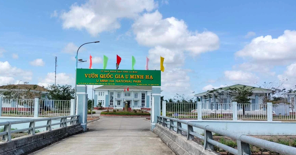 Giữ nguyên hiện trạng, điều chỉnh tên gọi một số đơn vị sự nghiệp sau hợp nhất
