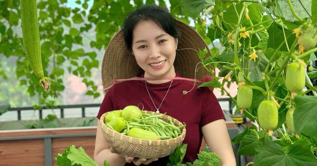 Khu vườn 30 m² xanh mướt với nhiều rau trái sạch của một phụ nữ xinh đẹp