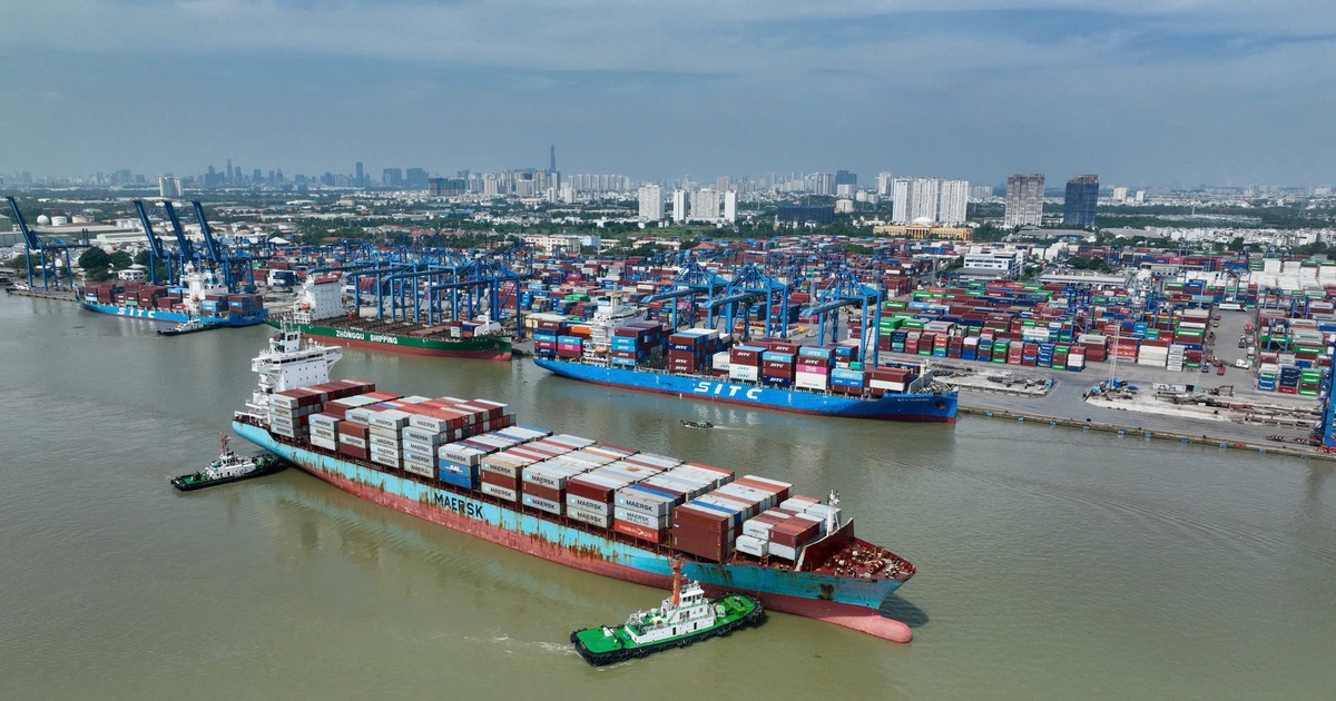 Kinh Tế Việt 'Nóng' Hóa: GDP Vượt Mốc Kỷ Lục, Giải Đề THPT Quốc Gia và Những 'Tham Vọng' Bất Ngờ của Elon Musk